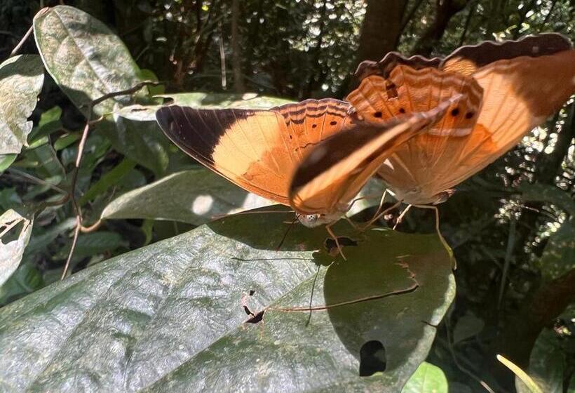 پانسیون Town Hostel