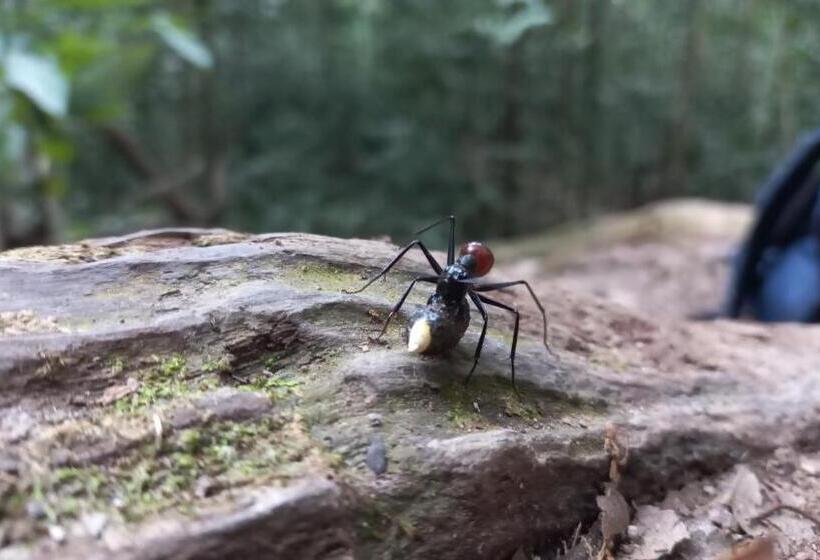 پانسیون Town Hostel