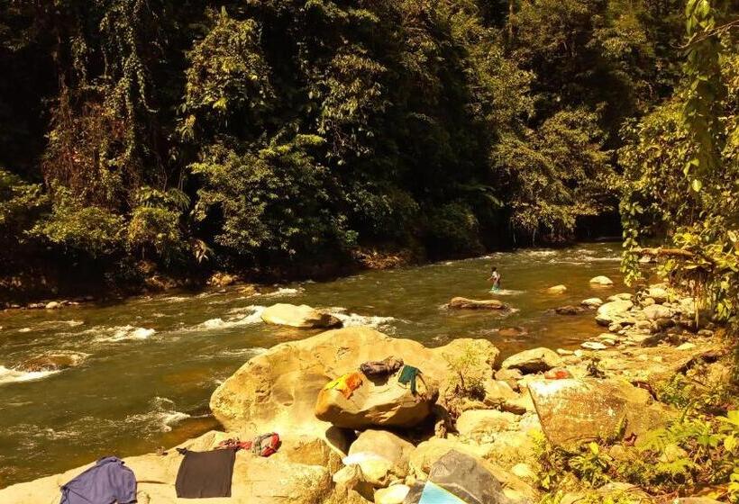 پانسیون Town Hostel