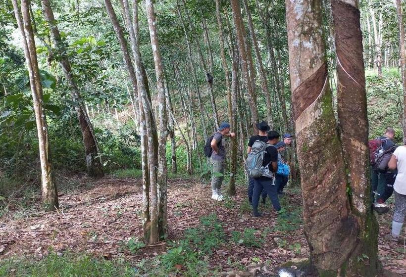 پانسیون Town Hostel