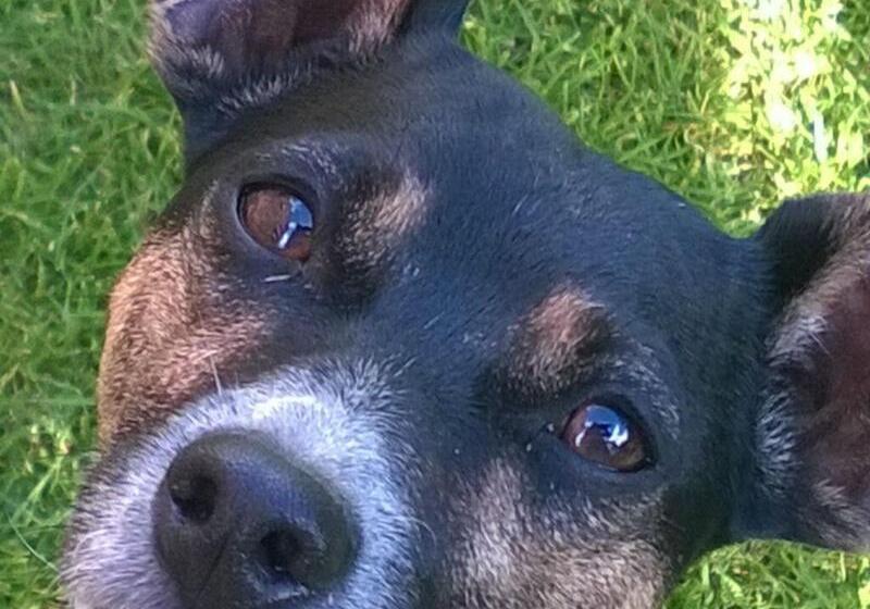 تختخواب و صبحانه Rossmount Guest House