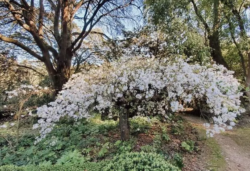 ベッドアンドブレックファースト Woolrich Historic Garden Cottage