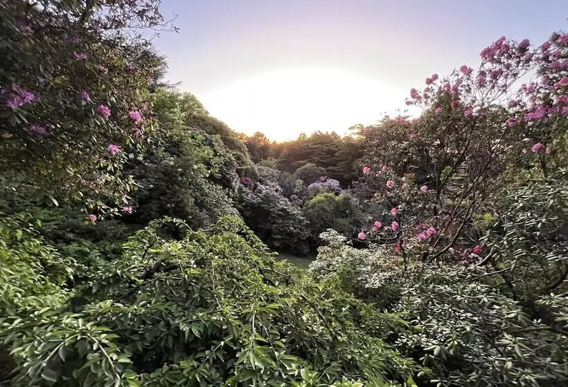 ベッドアンドブレックファースト Woolrich Historic Garden Cottage