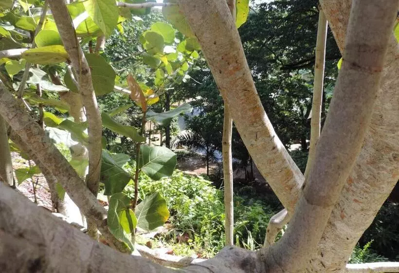 Hotelli Altos De Cano Hondo