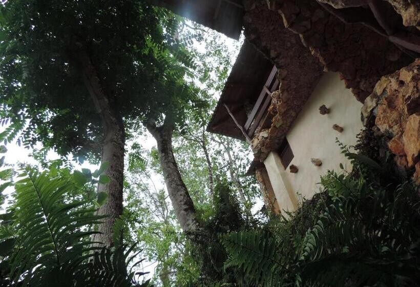 ホテル Altos De Cano Hondo