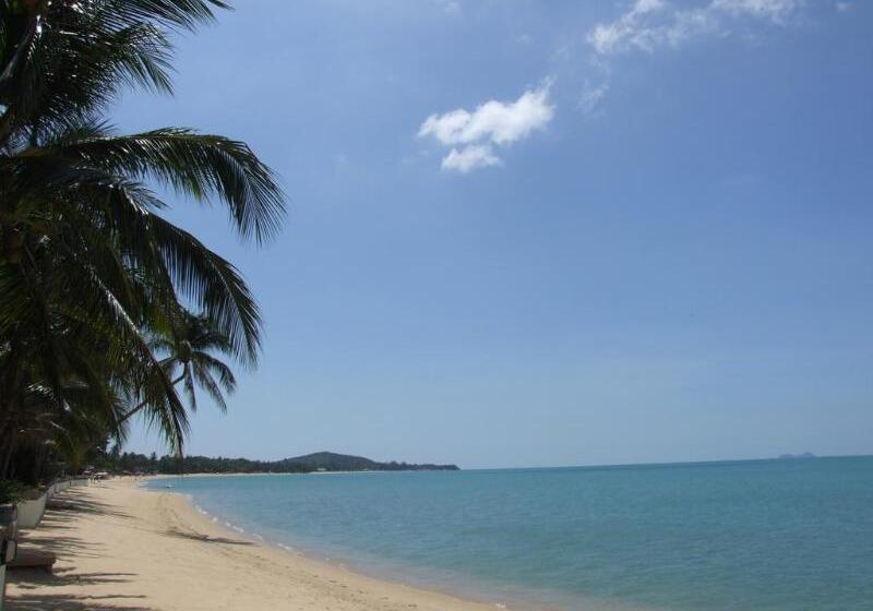 هتل Moonhut Bungalows