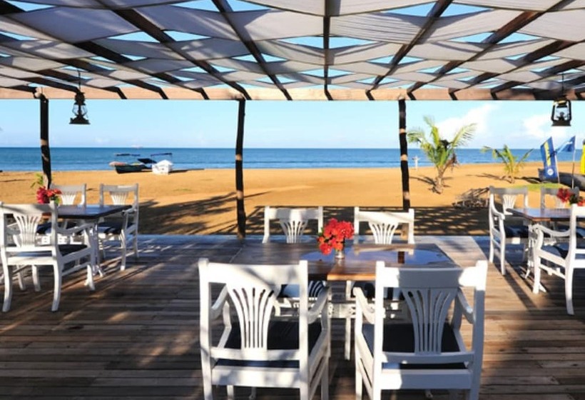 Пансион Dolphin Beach Resort