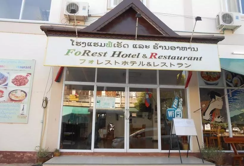 Albergue Forest