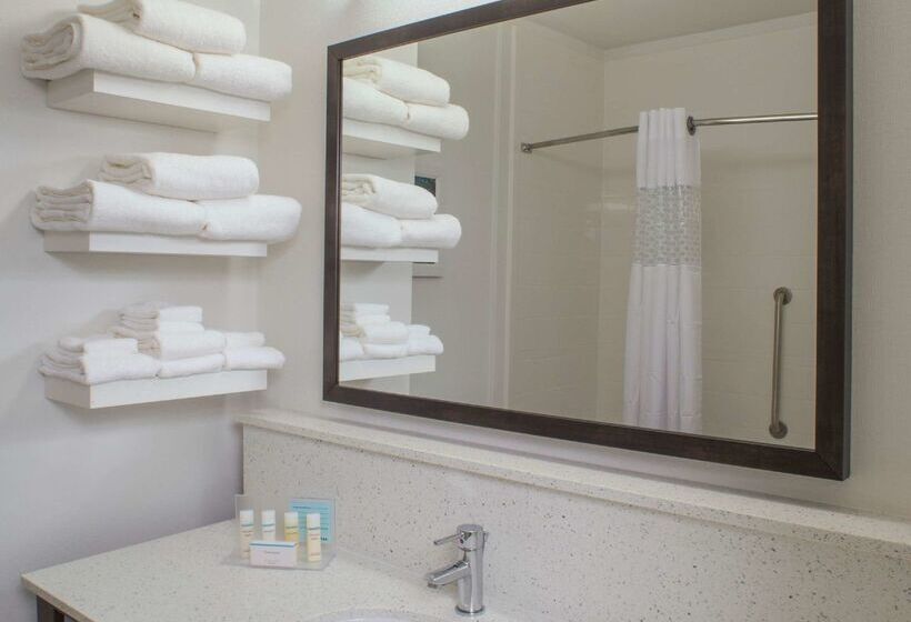 בית מלון כפרי Hampton Inn Gulf Shores