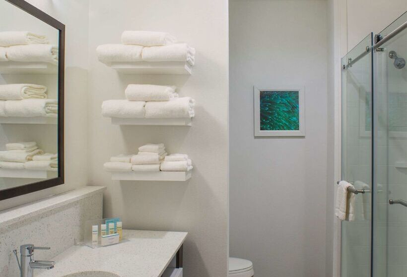 בית מלון כפרי Hampton Inn Gulf Shores