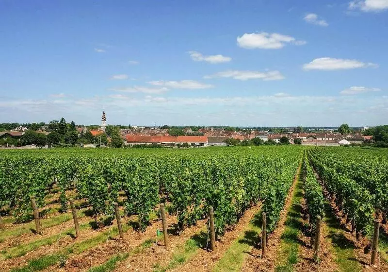 Hotelli Ibis Budget Nuits Saint Georges