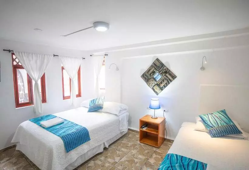 ホテル Maidith Galapagos Inn
