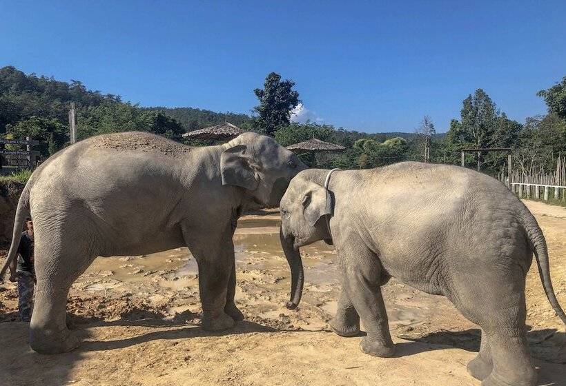 Отель The Private