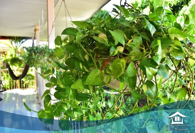 هتل Y Apartments Los Cisneros