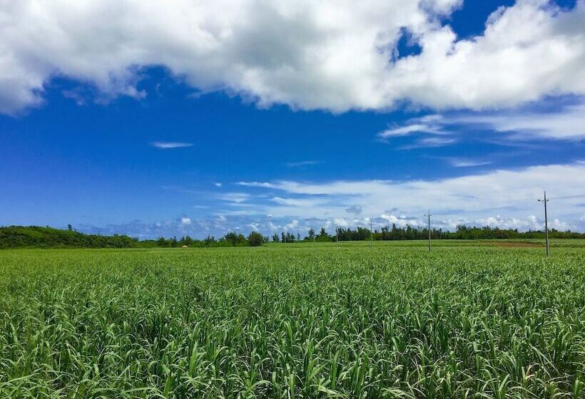 Majatalo Umioto ウミオト 夫婦 カップル 女性一人旅に大人気のナイトプール付き ゲストハウス 宮古島