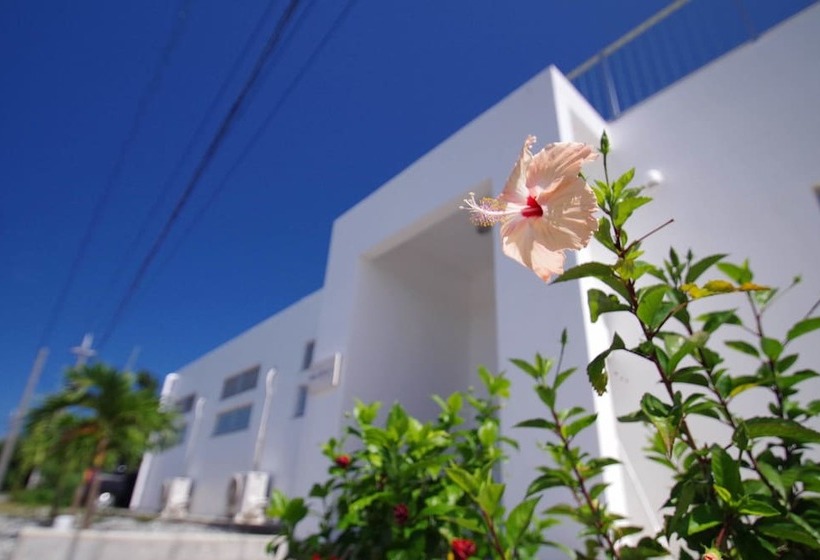 Majatalo Umioto ウミオト 夫婦 カップル 女性一人旅に大人気のナイトプール付き ゲストハウス 宮古島