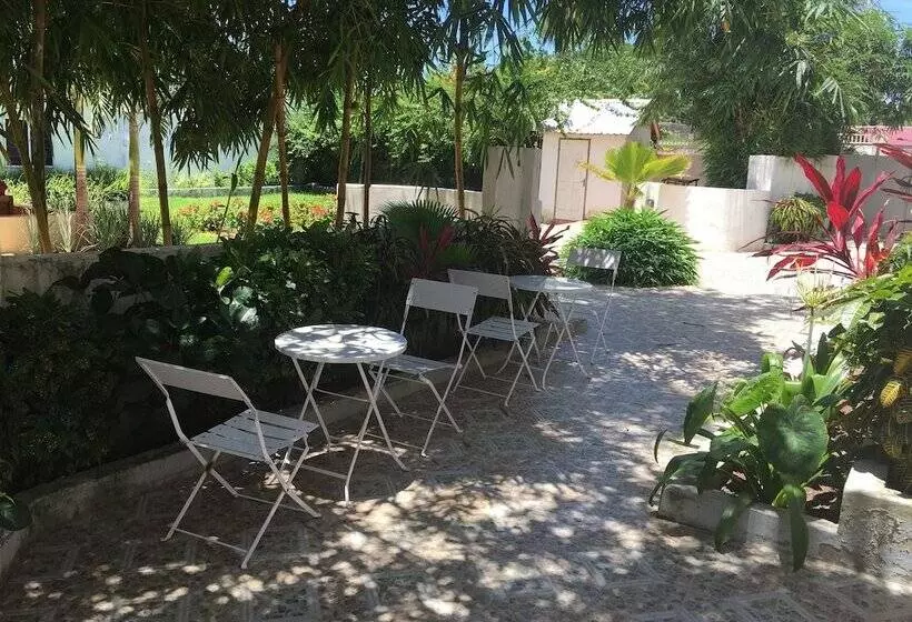 پانسیون Pelican Residence