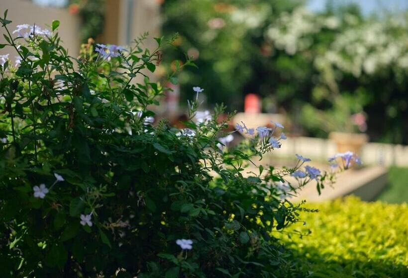 پانسیون Pelican Residence