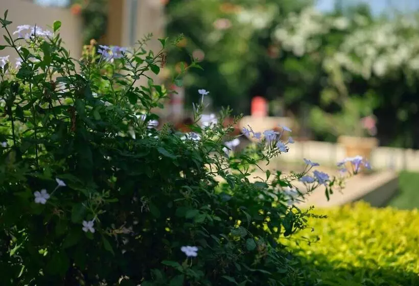 پانسیون Pelican Residence