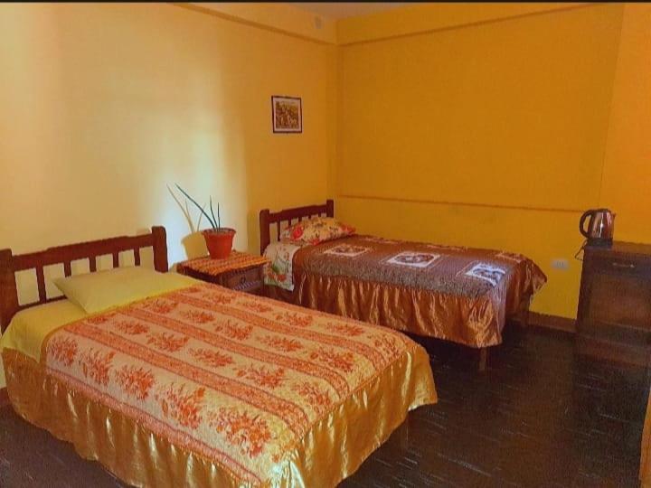 הוסטל Cayesh Guest House