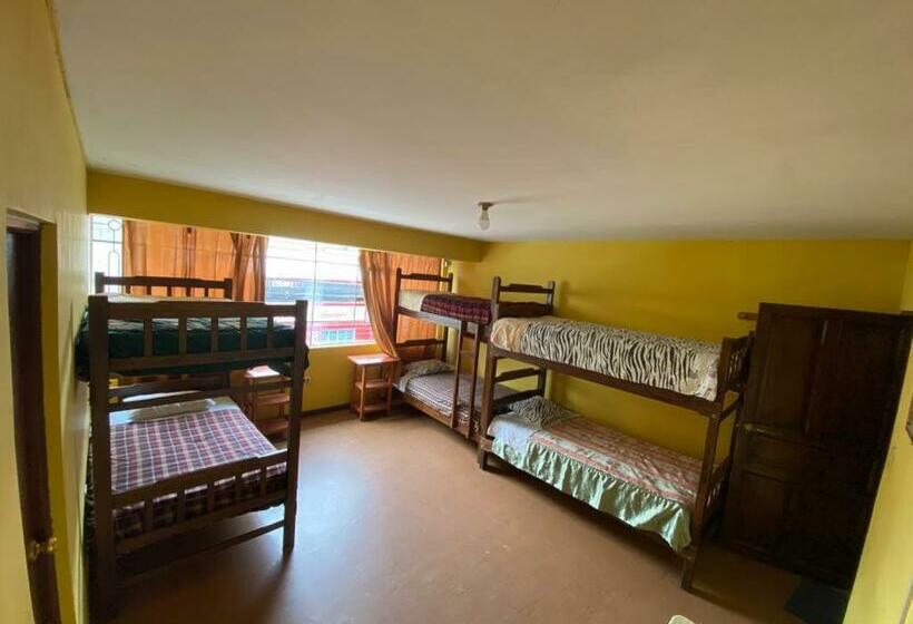 הוסטל Cayesh Guest House