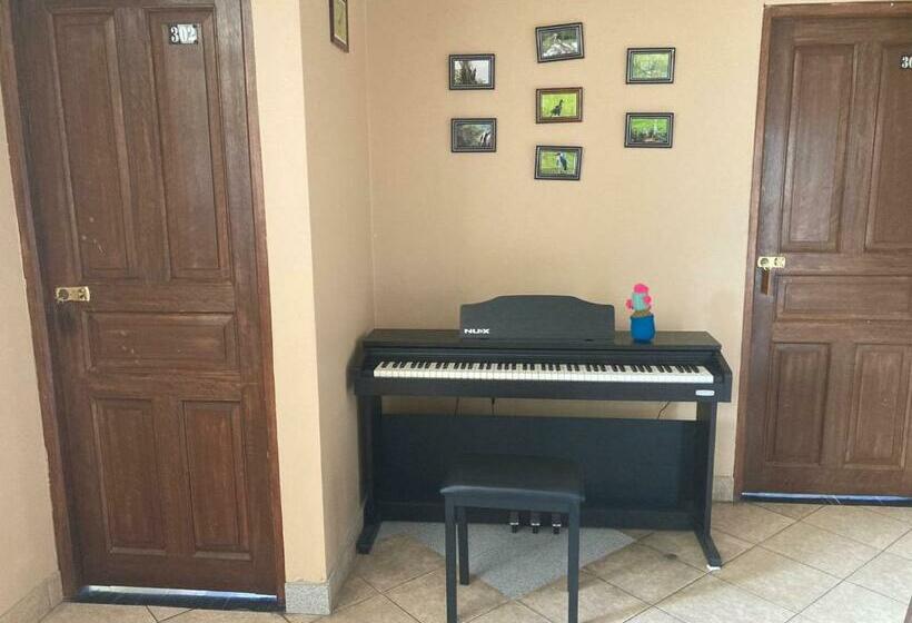 הוסטל Cayesh Guest House