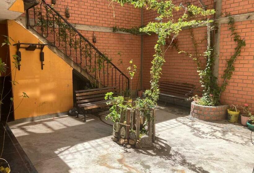 הוסטל Cayesh Guest House