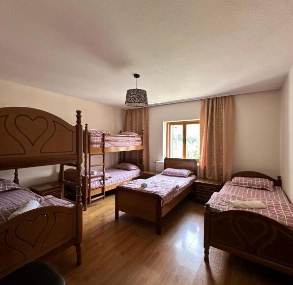 Hostel Quku I Valbones