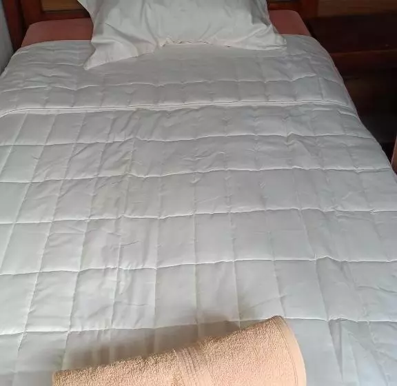 تختخواب و صبحانه Budget Hostel Guatemala