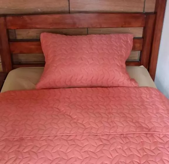 تختخواب و صبحانه Budget Hostel Guatemala