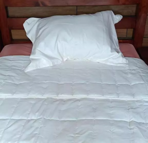 تختخواب و صبحانه Budget Hostel Guatemala
