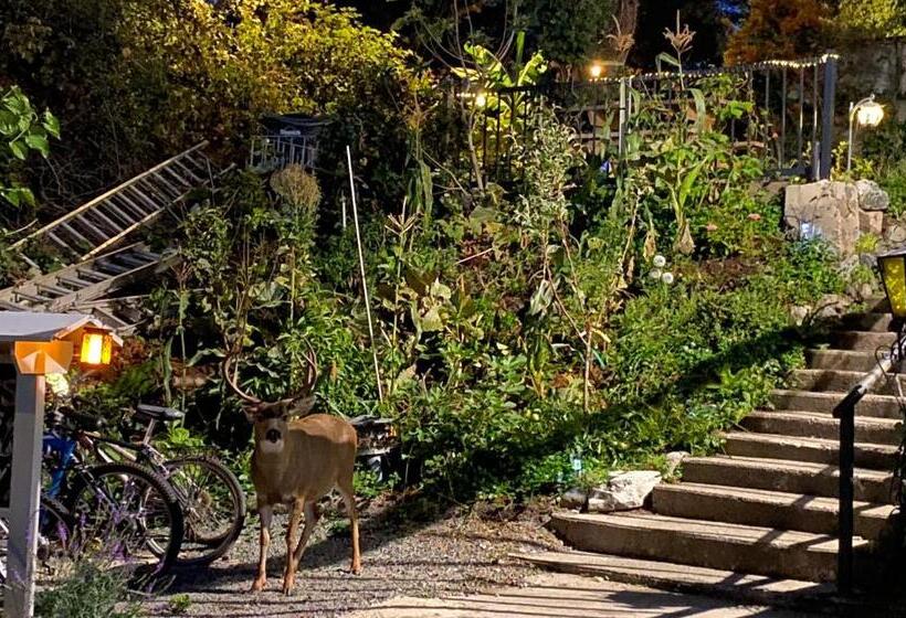 Bed and Breakfast Hudson Homes&suite