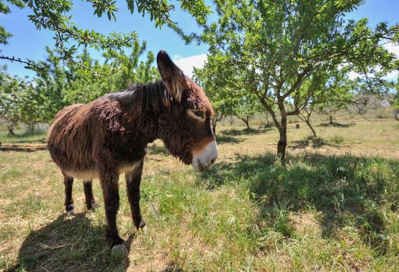 בית מלון כפרי Luna   Agriturismo La Fattoria Di San Francesco