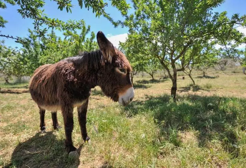 ホテル Luna   Agriturismo La Fattoria Di San Francesco