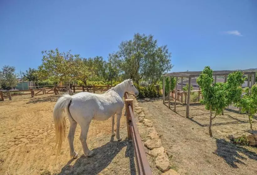 ホテル Luna   Agriturismo La Fattoria Di San Francesco