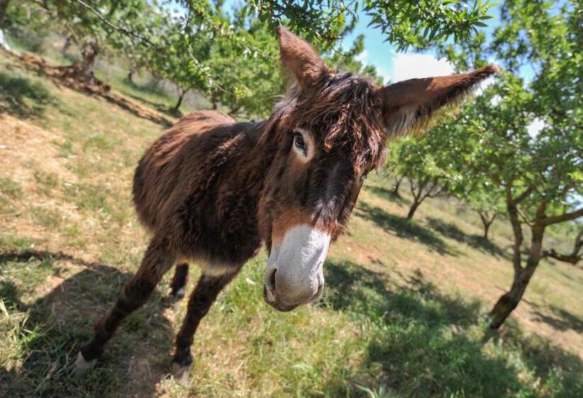 בית מלון כפרי Luna   Agriturismo La Fattoria Di San Francesco
