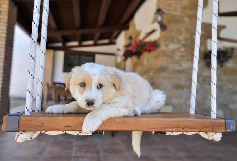 בית מלון כפרי Luna   Agriturismo La Fattoria Di San Francesco