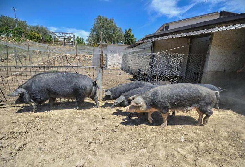 בית מלון כפרי Luna   Agriturismo La Fattoria Di San Francesco
