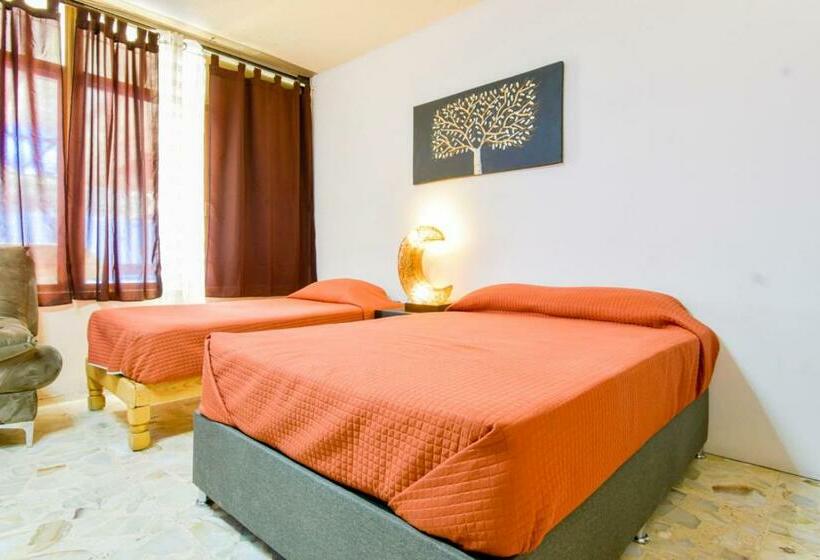 بنسيون Hostal Vitta