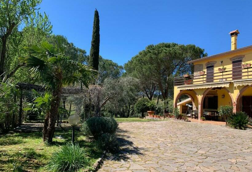 بنسيون Affittacamere La Crognoleta