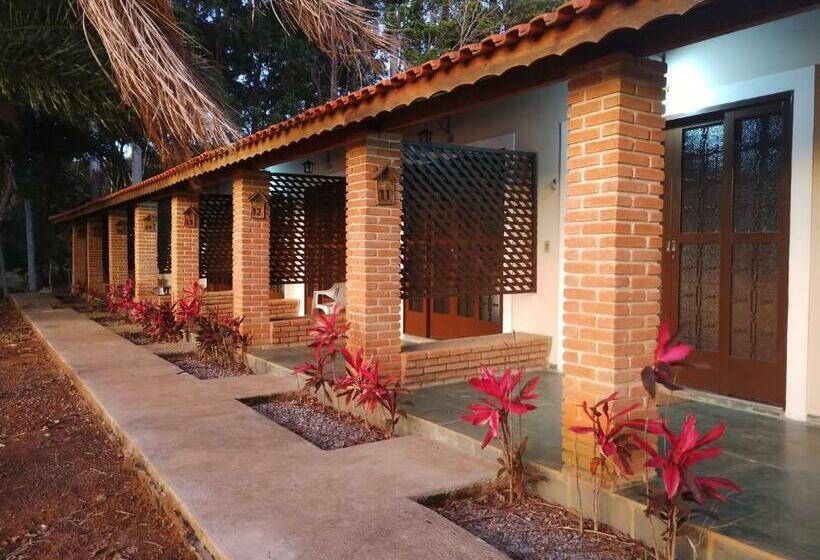 ユースホステル Pousada Solar Das Palmeiras