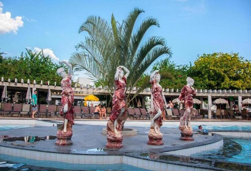 Lacqua Di Roma 1 2 3 4 5 Cn