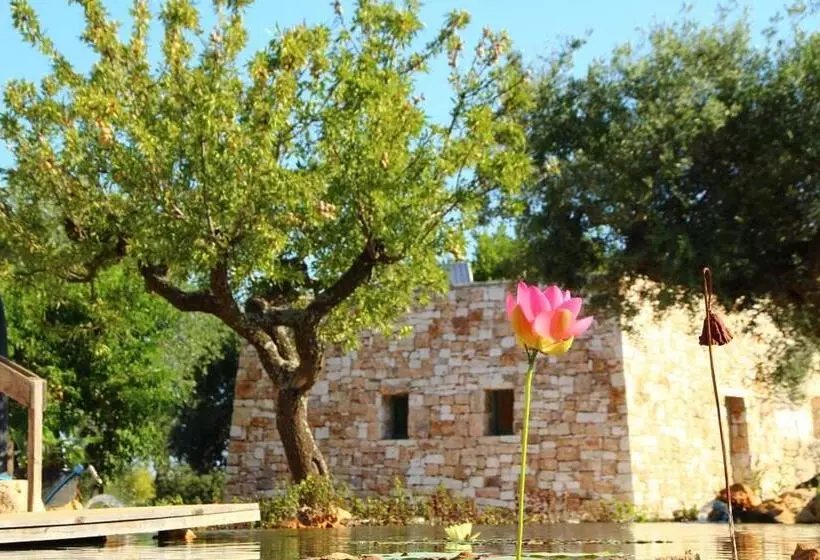 ペンション Il Fiore Della Vita Trulli Country House