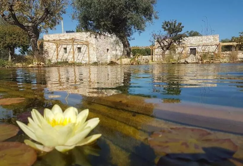 ペンション Il Fiore Della Vita Trulli Country House