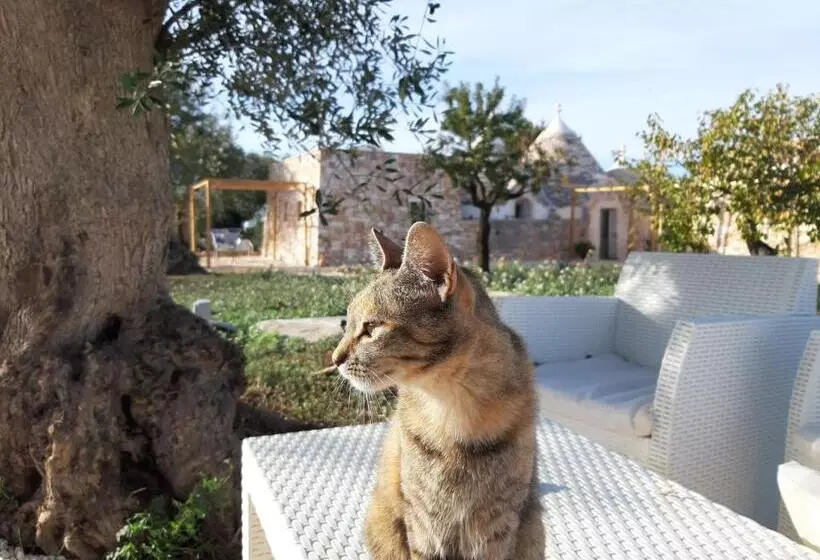 ペンション Il Fiore Della Vita Trulli Country House