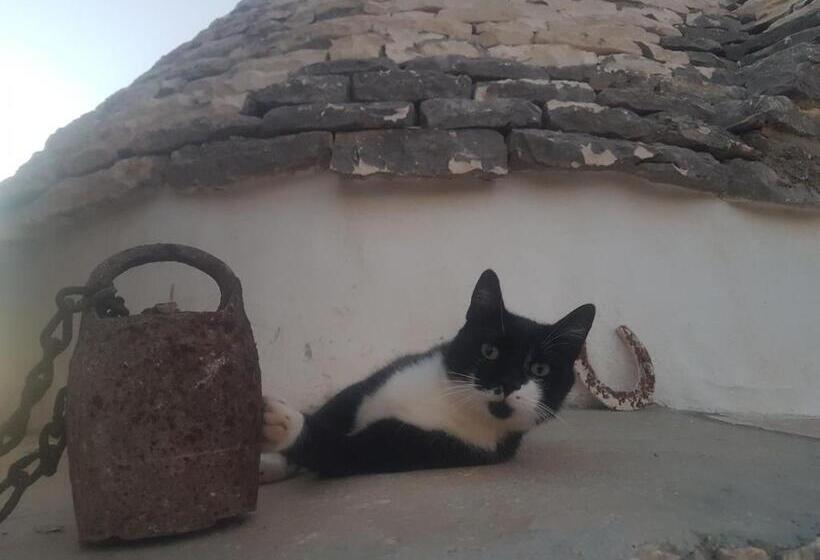 פנסיון Il Fiore Della Vita Trulli Country House