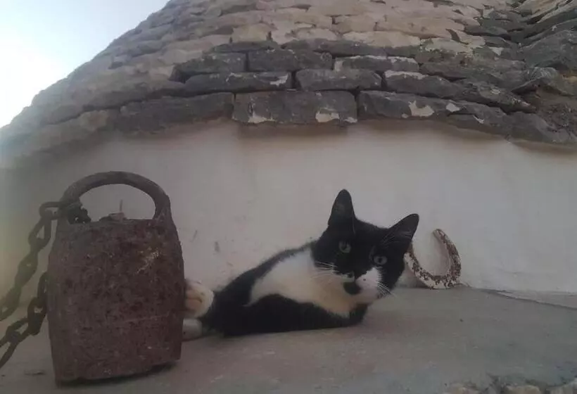 ペンション Il Fiore Della Vita Trulli Country House