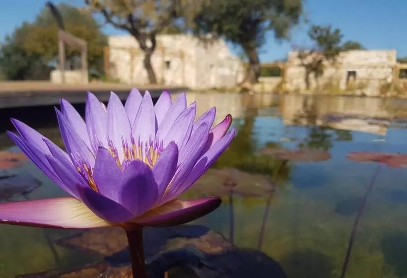 ペンション Il Fiore Della Vita Trulli Country House