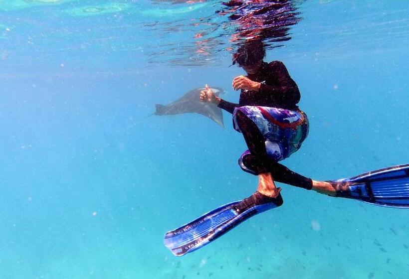 پانسیون Jerrys Dive Lodge Rasdhoo