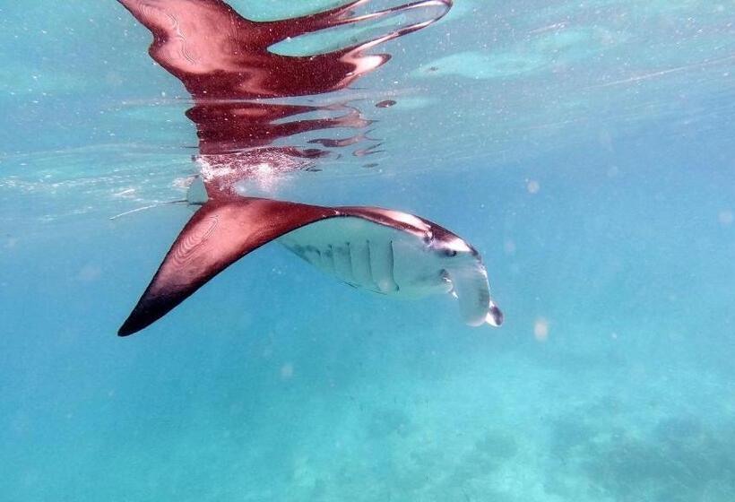 پانسیون Jerrys Dive Lodge Rasdhoo